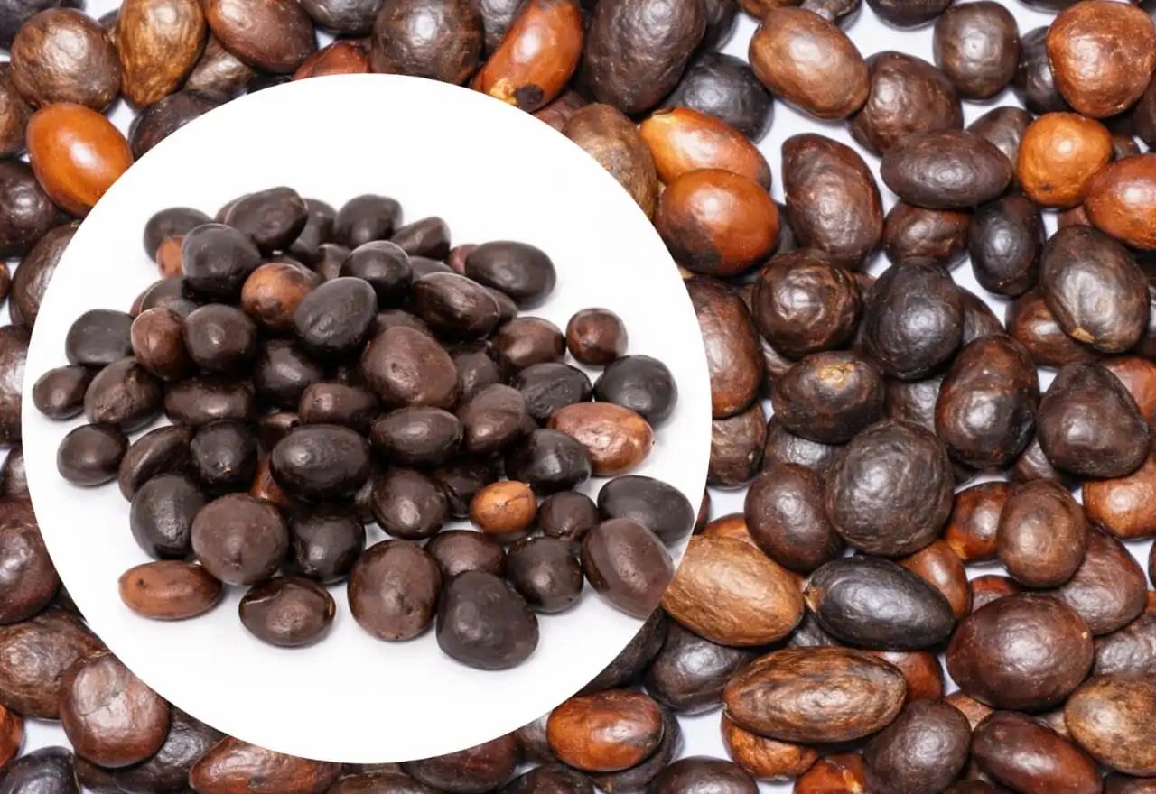 Palm kernel production