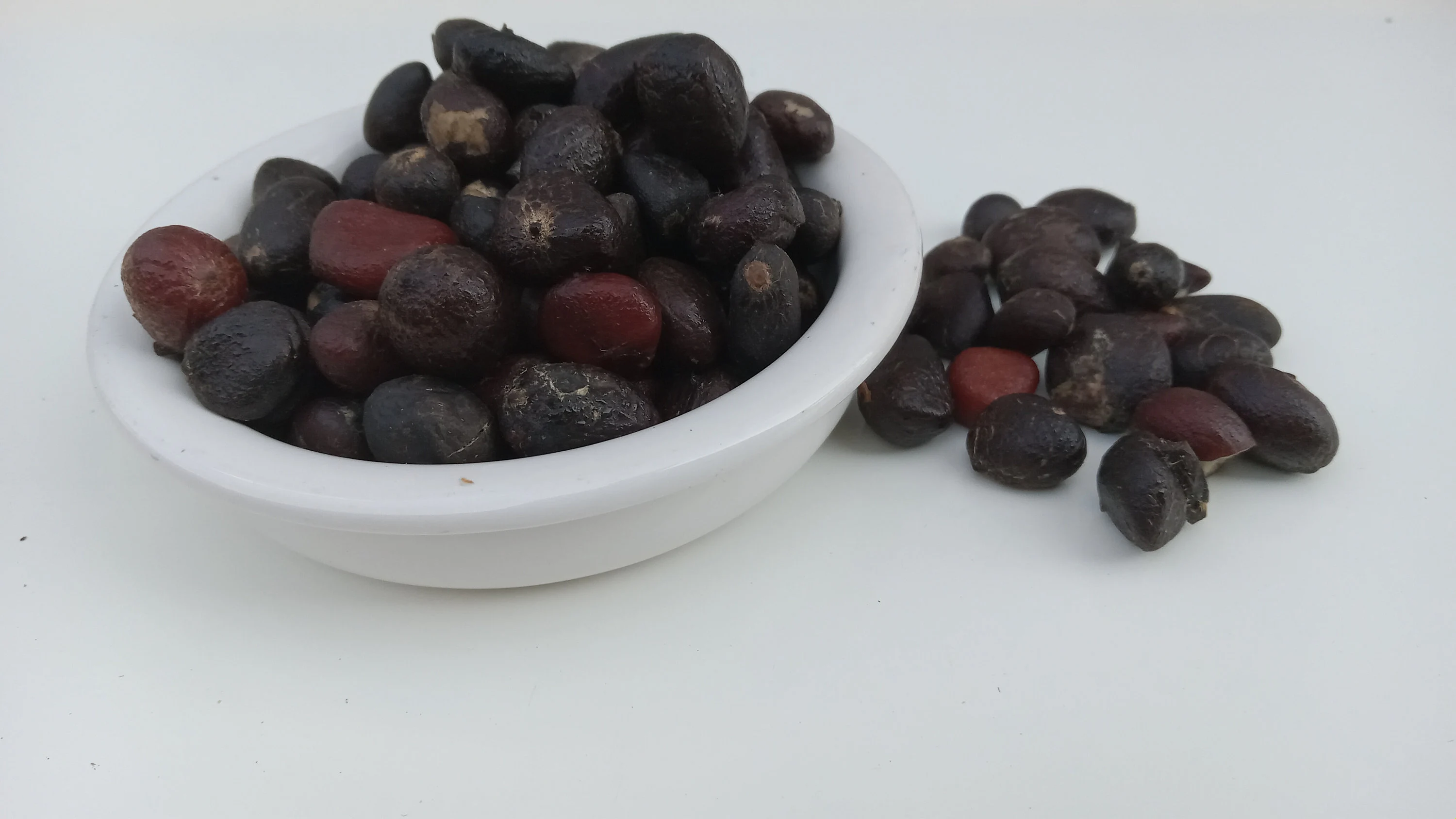 Palm kernel production